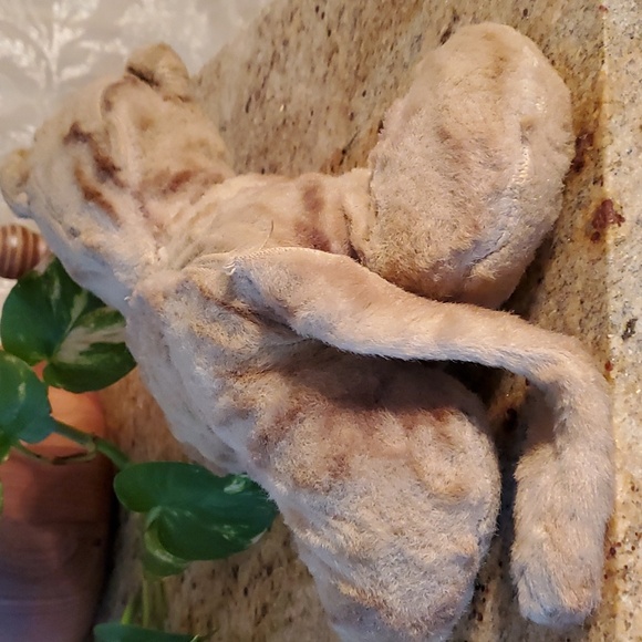 RARE VINTAGE rubber face stuffed cat - Picture 15 of 16